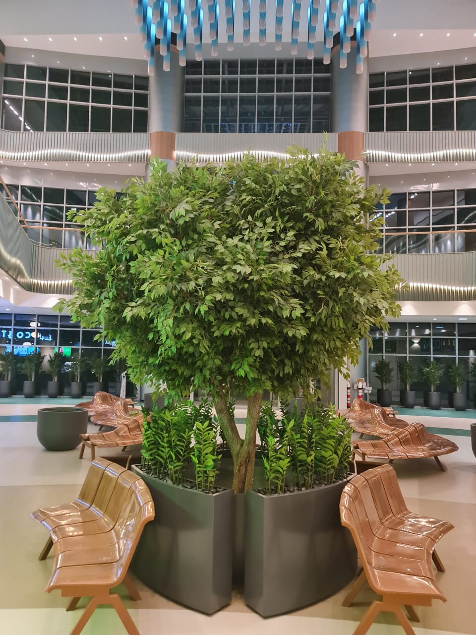 Artificial ficus atrium tree